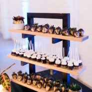 029-180207-skylight-winter-open-house-185x185