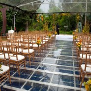 Decor_Shamos-2-185x185