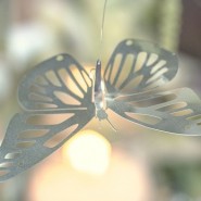 cover-photo1-185x185