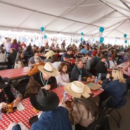 rtd_13120303_2396-2464393573-O-2465757811-O-185x185