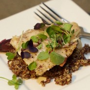 svqNh9j8iHQb1o51VlaFUpbwmjAI-Byfgsz4r8vFL0g-185x185